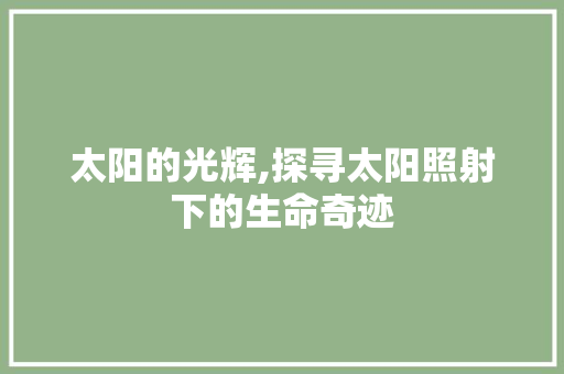 太阳的光辉,探寻太阳照射下的生命奇迹 词汇积累