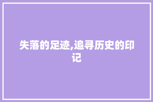 失落的足迹,追寻历史的印记 词汇积累