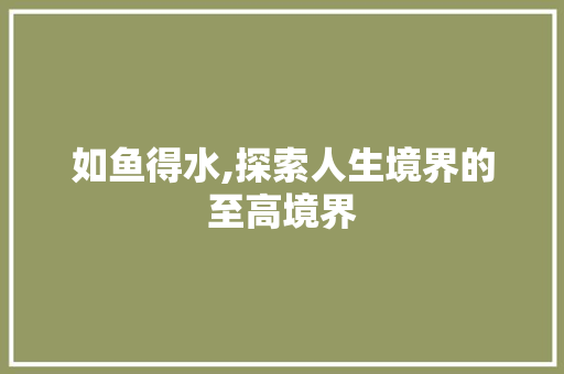 如鱼得水,探索人生境界的至高境界