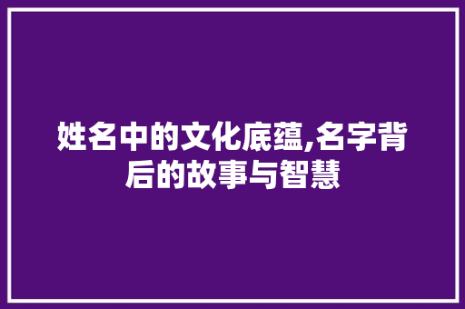 姓名中的文化底蕴,名字背后的故事与智慧