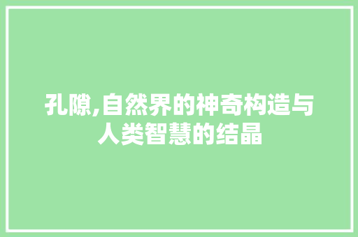 孔隙,自然界的神奇构造与人类智慧的结晶