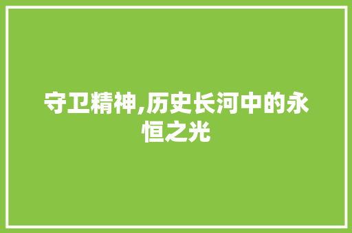 守卫精神,历史长河中的永恒之光