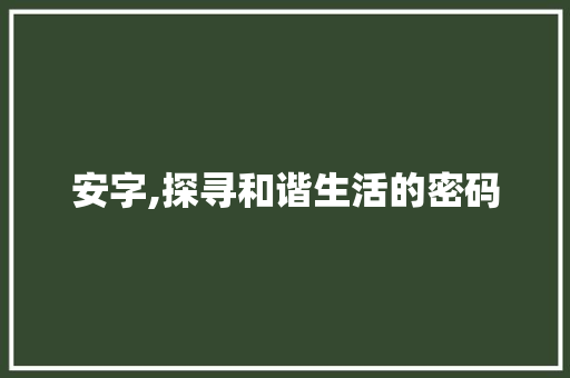 安字,探寻和谐生活的密码