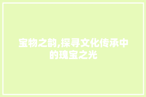 宝物之韵,探寻文化传承中的瑰宝之光