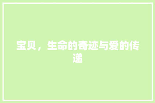 宝贝，生命的奇迹与爱的传递