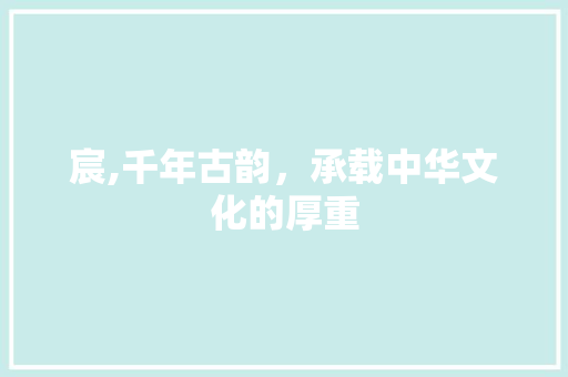宸,千年古韵，承载中华文化的厚重 范文赏析