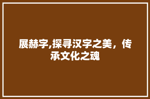 展赫字,探寻汉字之美，传承文化之魂