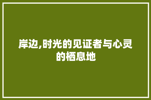 岸边,时光的见证者与心灵的栖息地