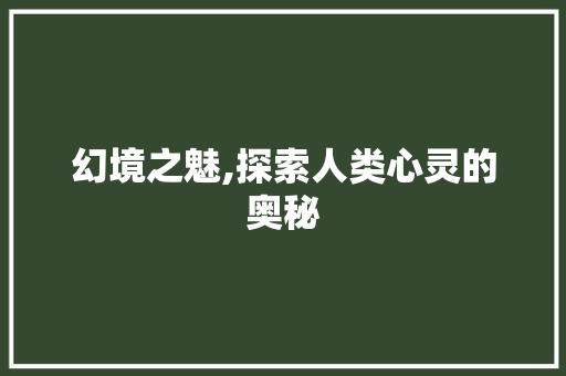 幻境之魅,探索人类心灵的奥秘 词汇积累