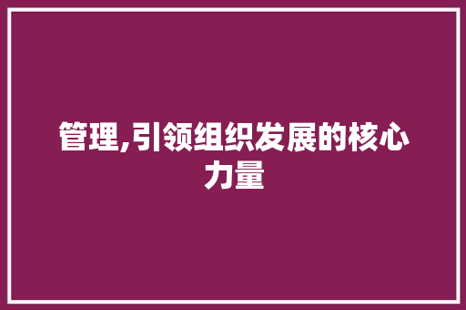管理,引领组织发展的核心力量 词汇积累