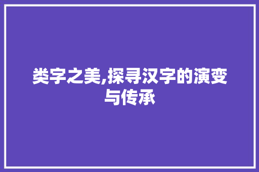 类字之美,探寻汉字的演变与传承 写作素材