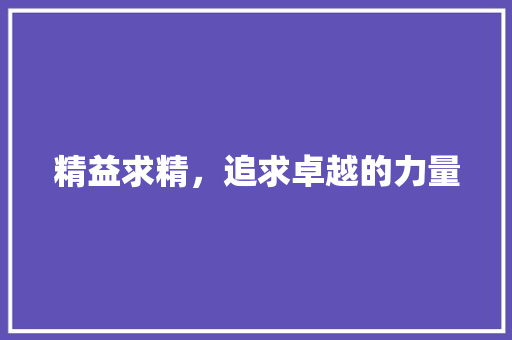 精益求精，追求卓越的力量