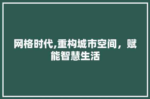 网格时代,重构城市空间，赋能智慧生活