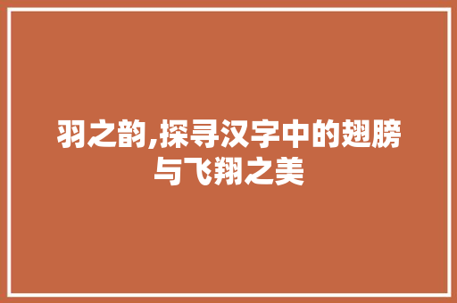 羽之韵,探寻汉字中的翅膀与飞翔之美