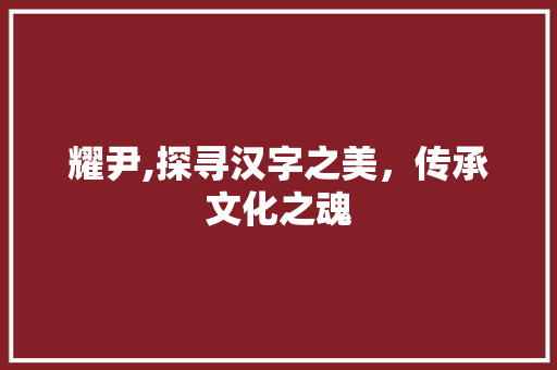 耀尹,探寻汉字之美，传承文化之魂