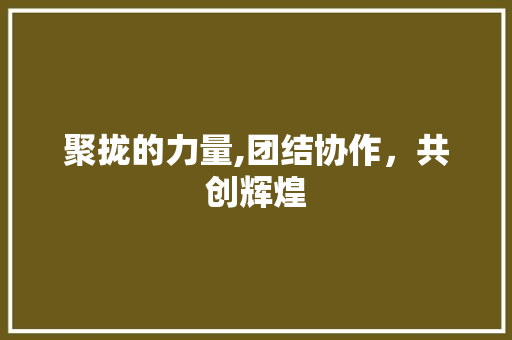 聚拢的力量,团结协作，共创辉煌