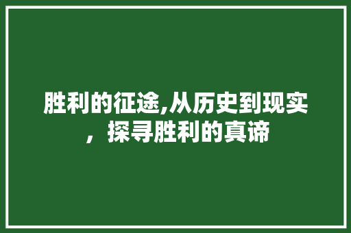 胜利的征途,从历史到现实，探寻胜利的真谛 商业文案