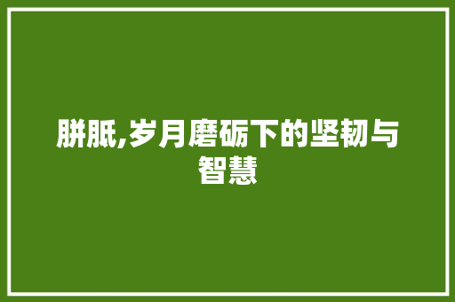 胼胝,岁月磨砺下的坚韧与智慧 简历模板