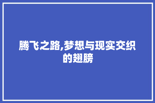 腾飞之路,梦想与现实交织的翅膀 写作素材