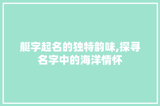 艇字起名的独特韵味,探寻名字中的海洋情怀 报告写作
