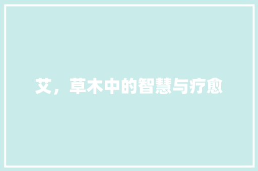 艾，草木中的智慧与疗愈