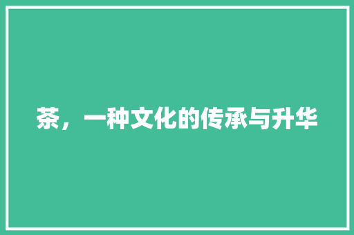 茶，一种文化的传承与升华