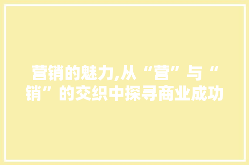 营销的魅力,从“营”与“销”的交织中探寻商业成功之路 写作素材