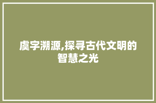 虞字溯源,探寻古代文明的智慧之光 报告写作