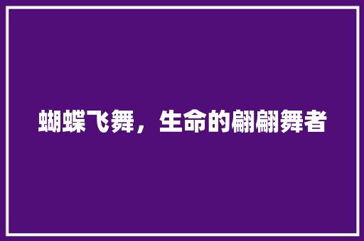 蝴蝶飞舞，生命的翩翩舞者 范文赏析