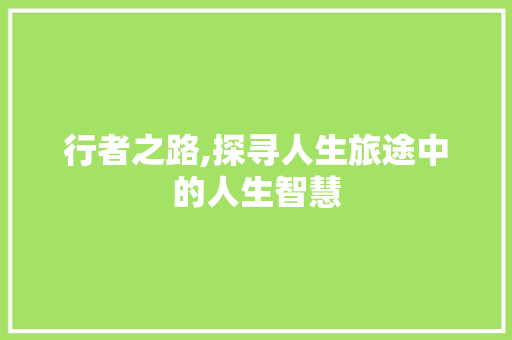 行者之路,探寻人生旅途中的人生智慧 诗歌创作