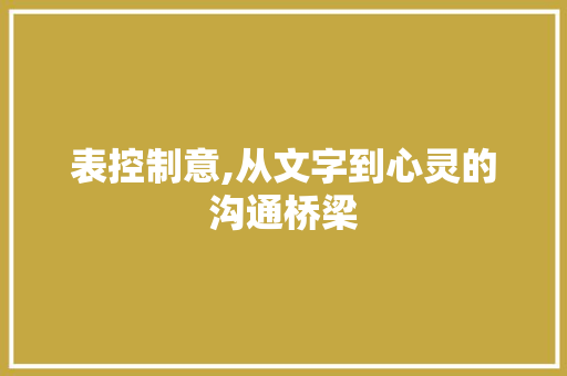 表控制意,从文字到心灵的沟通桥梁 简历模板
