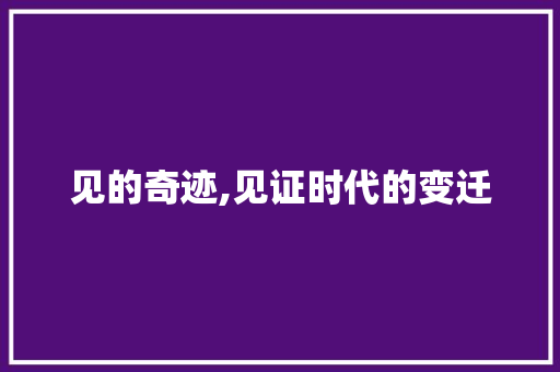见的奇迹,见证时代的变迁 诗歌创作