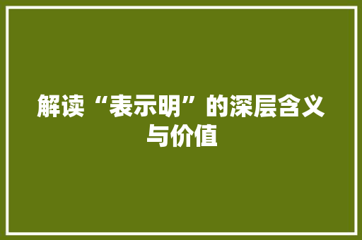 解读“表示明”的深层含义与价值 范文赏析