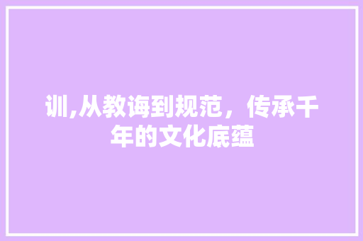 训,从教诲到规范，传承千年的文化底蕴