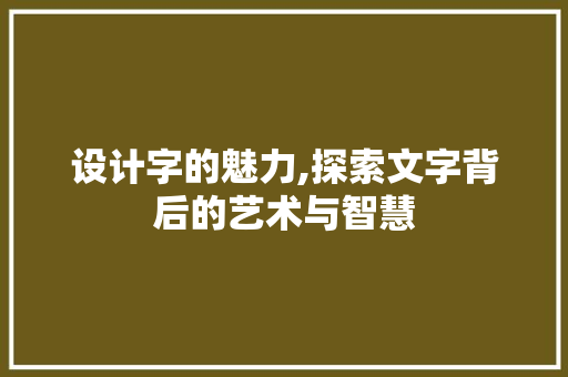 设计字的魅力,探索文字背后的艺术与智慧
