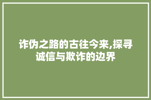 诈伪之路的古往今来,探寻诚信与欺诈的边界