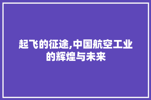 起飞的征途,中国航空工业的辉煌与未来 商业文案