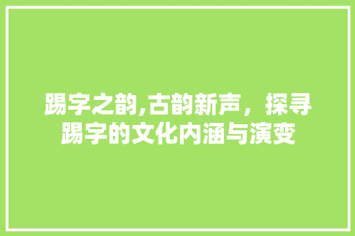 踢字之韵,古韵新声，探寻踢字的文化内涵与演变 写作素材