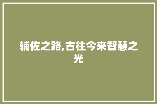 辅佐之路,古往今来智慧之光 商业文案