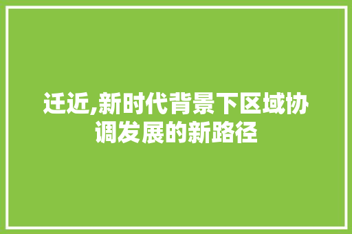 迁近,新时代背景下区域协调发展的新路径