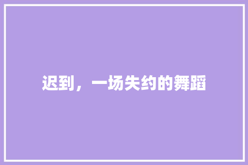 迟到，一场失约的舞蹈 写作素材