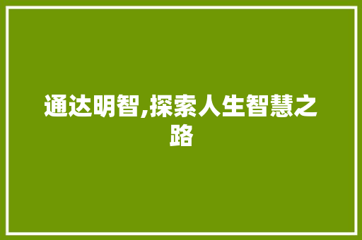 通达明智,探索人生智慧之路