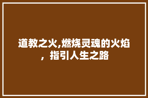 道教之火,燃烧灵魂的火焰，指引人生之路