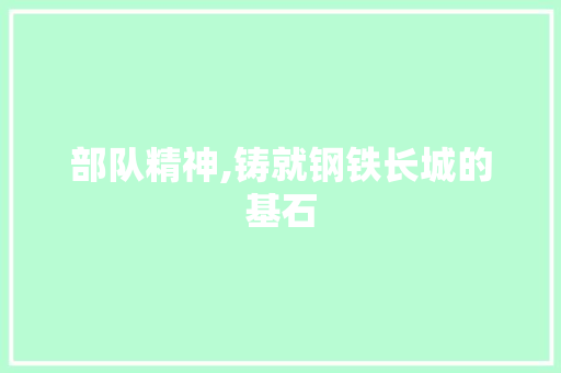 部队精神,铸就钢铁长城的基石