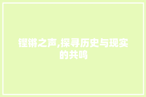 铿锵之声,探寻历史与现实的共鸣