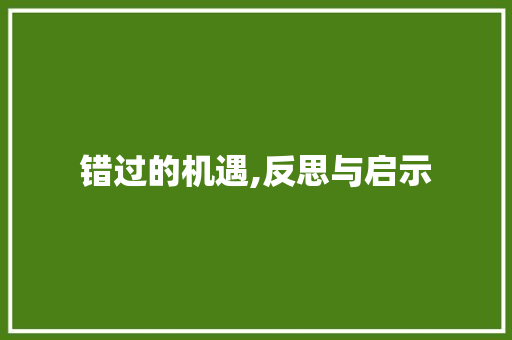错过的机遇,反思与启示 商业文案