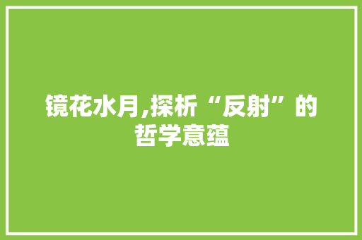 镜花水月,探析“反射”的哲学意蕴 写作素材