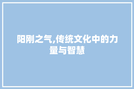 阳刚之气,传统文化中的力量与智慧 词汇积累