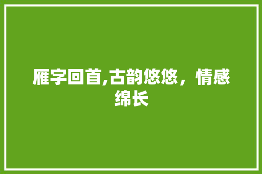 雁字回首,古韵悠悠，情感绵长 写作素材