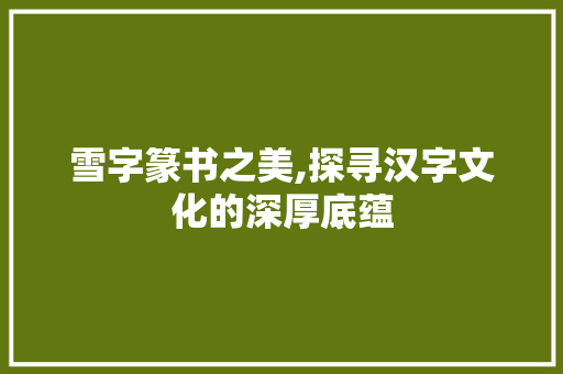 雪字篆书之美,探寻汉字文化的深厚底蕴
